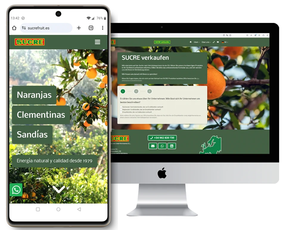 exportador fruta tavernes 2
